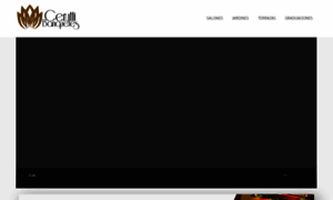 Salonesyfiestas.com.mx thumbnail