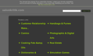 Salonkritik.com thumbnail