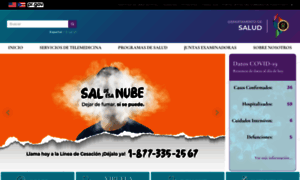Salud.pr.gov thumbnail