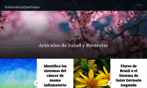 Saludalternativadellser.wordpress.com thumbnail