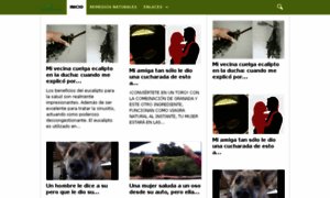 Saludconremedios.com thumbnail