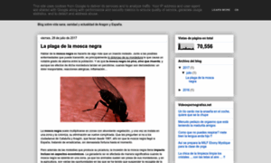 Saludpublicaaragon.es thumbnail