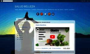 Saludybellezarh.blogspot.hk thumbnail
