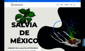 Salviademexico.com thumbnail