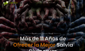 Salviadf.mx thumbnail