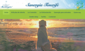 Sanergiatenerife.com thumbnail