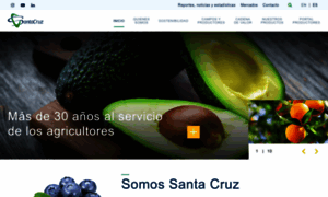 Santacruzsa.cl thumbnail