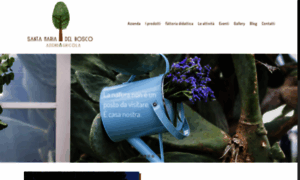 Santamariadelbosco.com thumbnail
