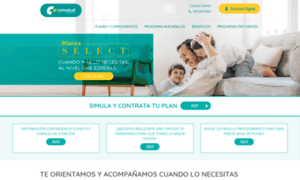 Santiagocorreconsalud.cl thumbnail