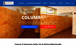 Santuariodivinamisericordia.pe thumbnail
