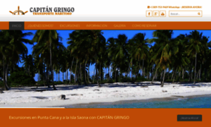 Saona-tours.com thumbnail