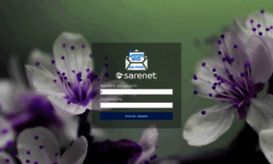 Saremail.net thumbnail