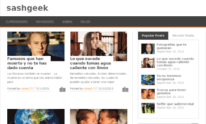 Sashgeek.in thumbnail