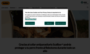 Scalibor.es thumbnail