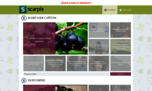 Scarpis.ru thumbnail