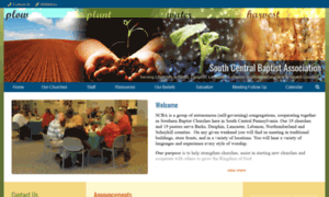 Scbapa.org thumbnail