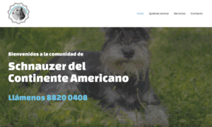 Schnauzerdelcontinenteamericano.com thumbnail