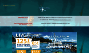 Seaquariumpuntacana.com thumbnail