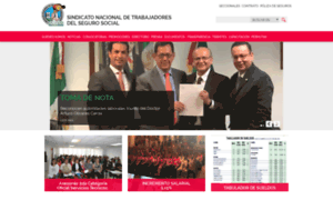 Seccionales.sntss.org.mx thumbnail