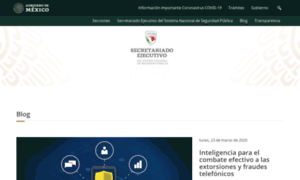 Secretariadoejecutivosnsp.gob.mx thumbnail