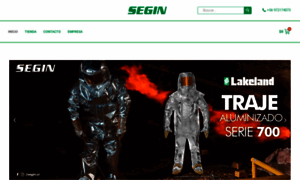 Segin.cl thumbnail