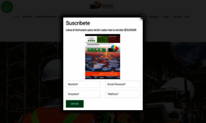 Seguridadindustrial.com.mx thumbnail