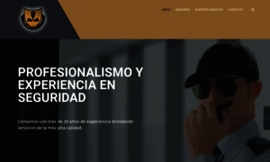 Seguridadspai.com.mx thumbnail