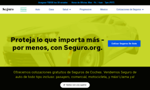 Seguro.org thumbnail