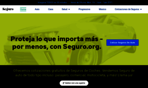 Seguro.org thumbnail