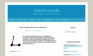 Segurosayuda.com thumbnail