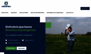 Seguroscolumna.com thumbnail