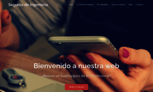 Segurosdeingenieria.com thumbnail