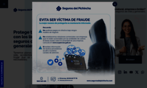 Segurosdelpichincha.com thumbnail