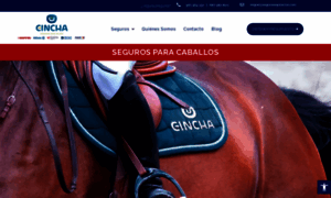 Segurosequitacion.com thumbnail