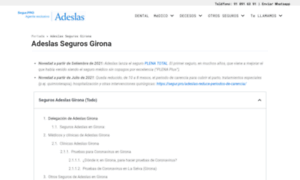 Segurosgirona.es thumbnail