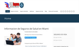 Segurosmedicosmiami.info thumbnail