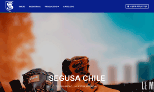 Segusachile.cl thumbnail