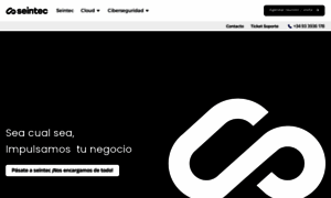 Seintec.net thumbnail