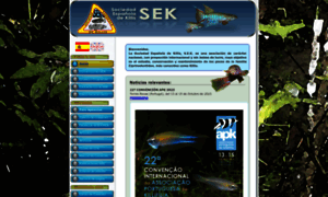 Sekweb.org thumbnail