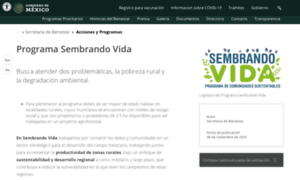 Sembrandovida.mx thumbnail