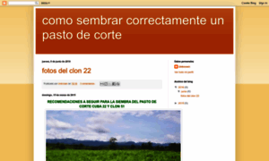 Sembrarpastodecorte.blogspot.com thumbnail