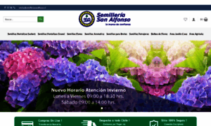 Semilleriasanalfonso.cl thumbnail