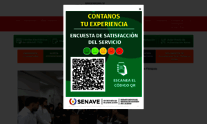 Senave.gov.py thumbnail
