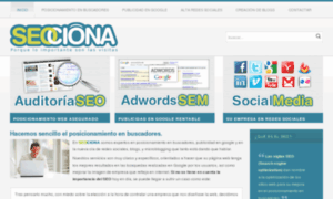 Seociona.com thumbnail