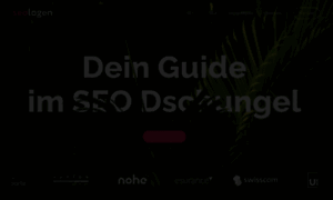Seologen.ch thumbnail