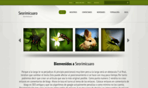 Seorimicuaro89.webnode.es thumbnail