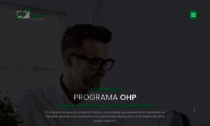 Serhconsultores.com.ar thumbnail