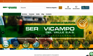 Servicampodelvallesa.com thumbnail