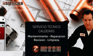 Serviciotecnico-calderas.com thumbnail