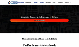 Serviciotecnicocalderasygas.com thumbnail